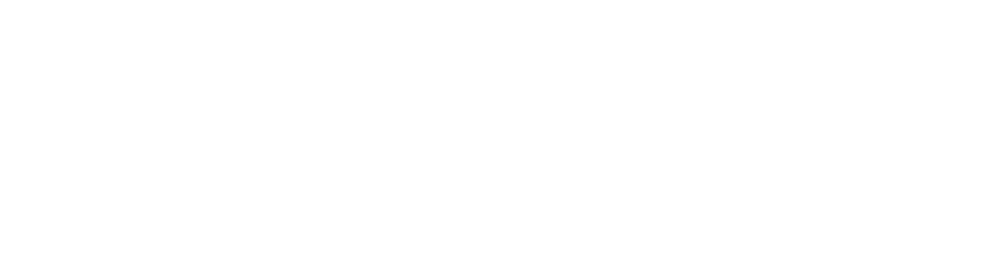 Avalon Plus